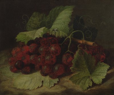 Stillleben mit Trauben von William Hammer