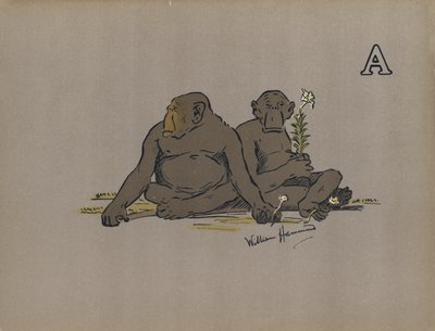 Buchstabe A, Ästhetische Anthropoidenaffen, die abnorm apathische Haltungen einnehmen von William Hammond