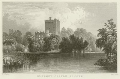 Blarney Castle in County Cork von William Henry Bartlett