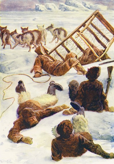 Illustration für Die Welt des Eises oder die Walfangreise der Dolphin von William Henry Charles Groome