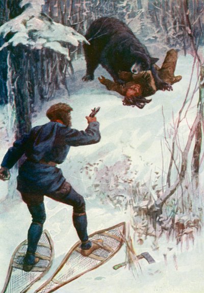 Der Bär stand über ihm und hielt einen seiner Arme im Maul von William Henry Charles Groome
