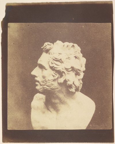 [Büste des Patroklos] von William Henry Fox Talbot