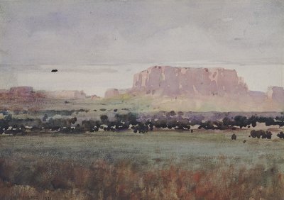 Im Plateau-Land, Colorado von William Henry Holmes