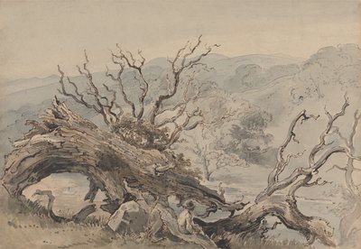 Eine gefallene Eiche von William Henry Hunt