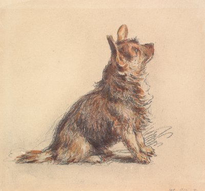 Ein sitzender Terrier, der nach rechts oben blickt von William Henry Hunt