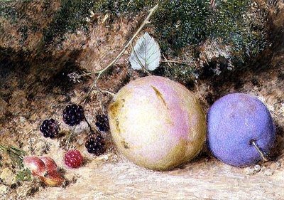 Hagebutten, Brombeeren und Pflaumen von William Henry Hunt