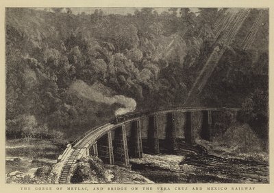 Die Schlucht von Metlac und die Brücke der Vera Cruz und Mexiko Eisenbahn von William Henry James Boot