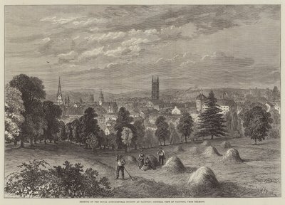 Treffen der Royal Agricultural Society in Taunton, Gesamtansicht von Taunton, von Belmont von William Henry Pike