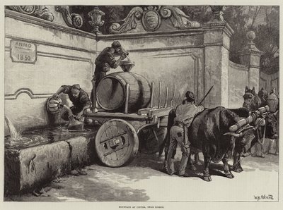 Brunnen in Cintra, nahe Lissabon von William Heysham Overend