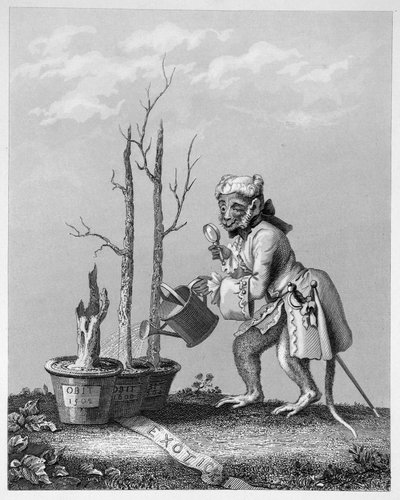 Schwanzstück zum Künstlerkatalog, 1761 von William Hogarth