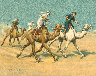 Historische und moderne Rennen, Kamelrennen (Chromolithografie) von William Hounsom Byles