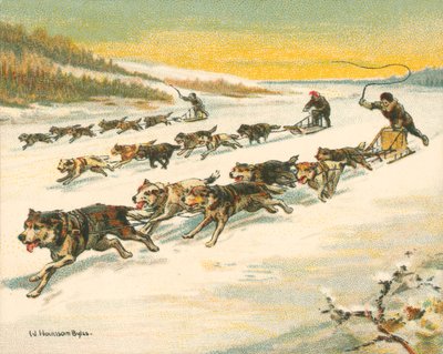 Historische und moderne Rennen, kanadische Hundeschlittenrennen (Chromolitho) von William Hounsom Byles