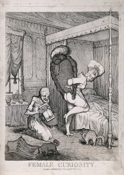 Weibliche Neugier von William Humphrey