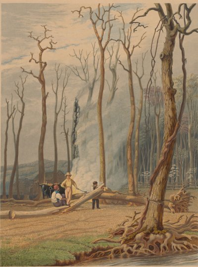 Frühling--Brennende gefällte Bäume in einer gerodeten Lichtung. Westliche Szene, 1841 von William James Bennett