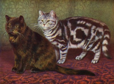 Die Schildpattkatze und die getigerte Katze von William Luker