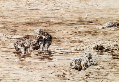 Seeigel von William McTaggart