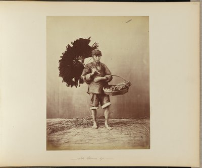 John Chinaman Typ von William Saunders
