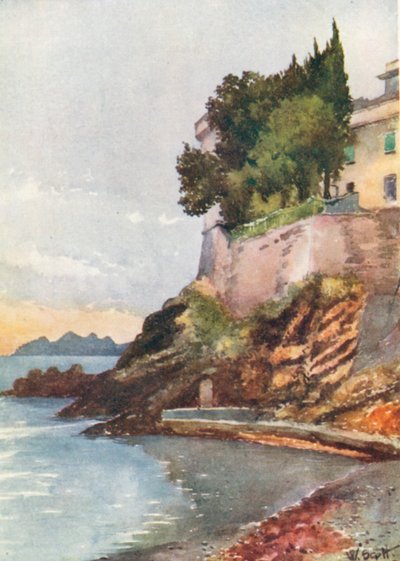  von William Scott