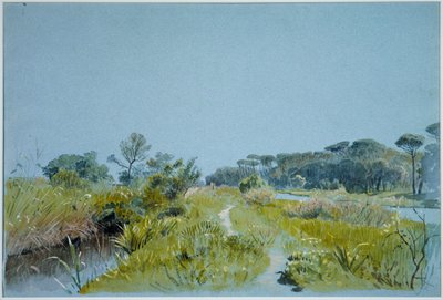 Castel Fusano - nahe Rom von William Stanley Haseltine