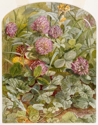 Rotklee mit Echtem Leinkraut und Gundermann von William Trost Richards