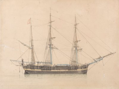 Der Walfänger "Truelove" aus Hull von William Ward