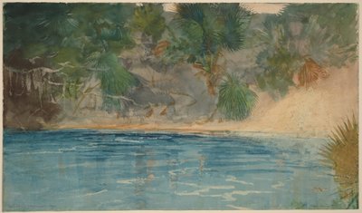 Blue Spring, Florida von Winslow Homer
