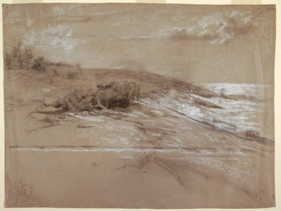 Küste mit Kiefern, Prout