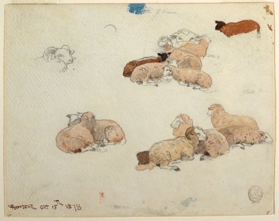 Schafe ruhend, 15. Oktober 1878 von Winslow Homer