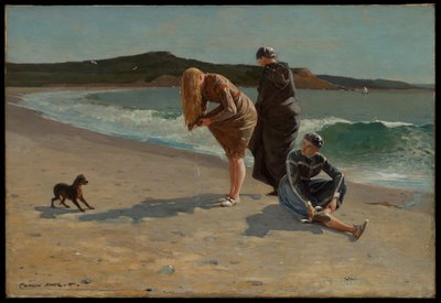 Eagle Head, Manchester, Massachusetts (Hochwasser) von Winslow Homer