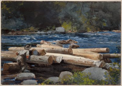  von Winslow Homer