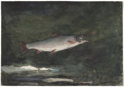 Springende Forelle von Winslow Homer