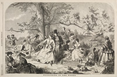 Picknick im Wald von Winslow Homer