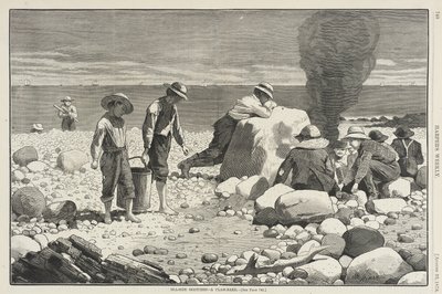  von Winslow Homer
