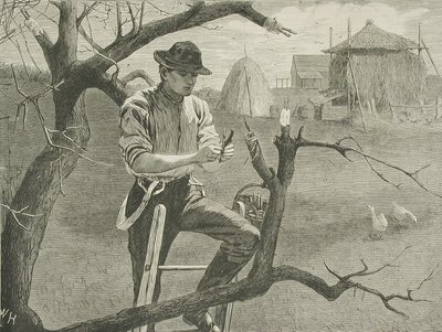 Frühjahrsarbeiten auf dem Bauernhof - Veredelung von Winslow Homer