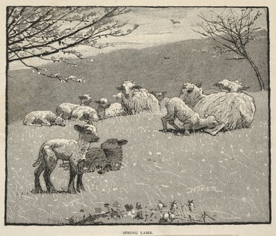  von Winslow Homer