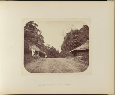 Gipfel des Poentjak bei Buitenzorg von Woodbury and Page