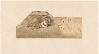 Studien von zwei Löwen von Wouter Johannes van Troostwijk