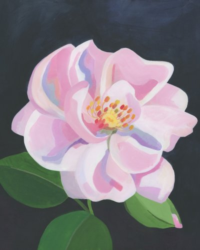 Weiche Rosa Rose von Yvonne Gustafsson