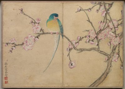 Schreibtischalbum: Blumen- und Vogelmalereien (Vogel mit Pflaumenblüten) von Zhang Ruoai