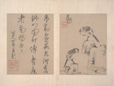 Album mit verschiedenen Gemälden von Zhu da (attr.to) Bada Shanren