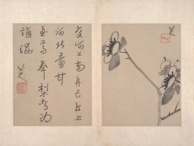 Album mit verschiedenen Gemälden (Album mit zwölf Gemälden) von Zhu da (attr.to) Bada Shanren