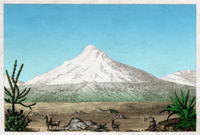 Der Chimborazo-Vulkan vom Plateau von Tapia, Ecuador (Gravur) von . .