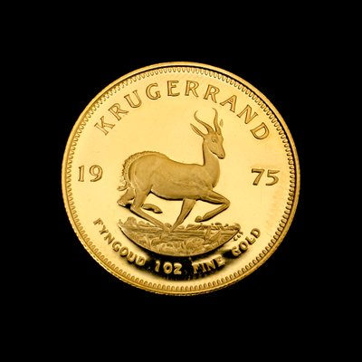 Der Krugerrand - Berühmte südafrikanische Goldmünze von Hippolyte Lalaise Devéria