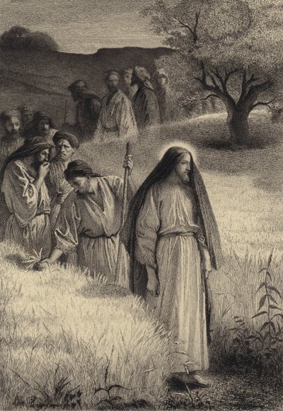 Jesus und seine Jünger im Kornfeld von after Albert Robida