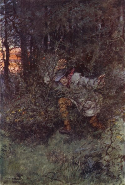 Illustration für Martin Chuzzlewit von after Charles Edmund Brock