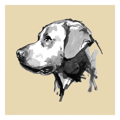 Ausdrucksvolles Hundeprofil von cartissi