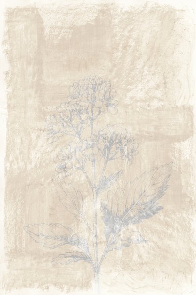 Verblasste Botanische Skizze von cartissi