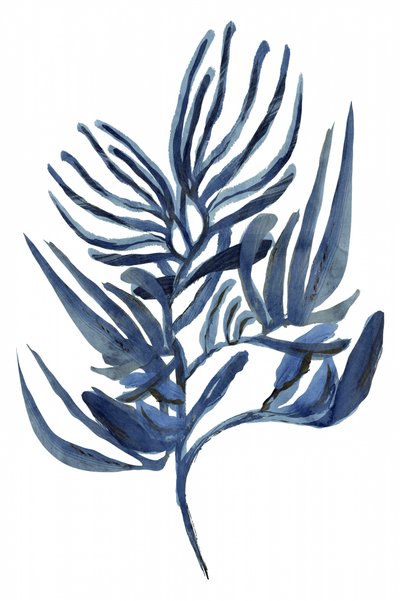 Indigo Botanische Studie von cartissi