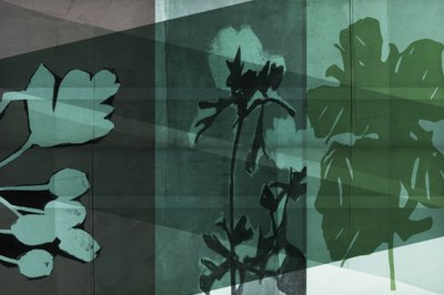 Geschichtete Botanische Schatten von cartissi