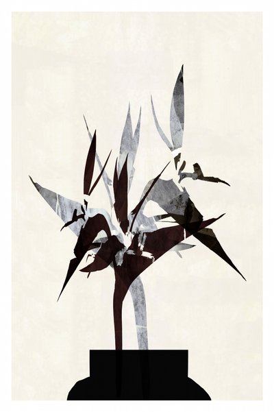 Moderne botanische Stillleben von cartissi